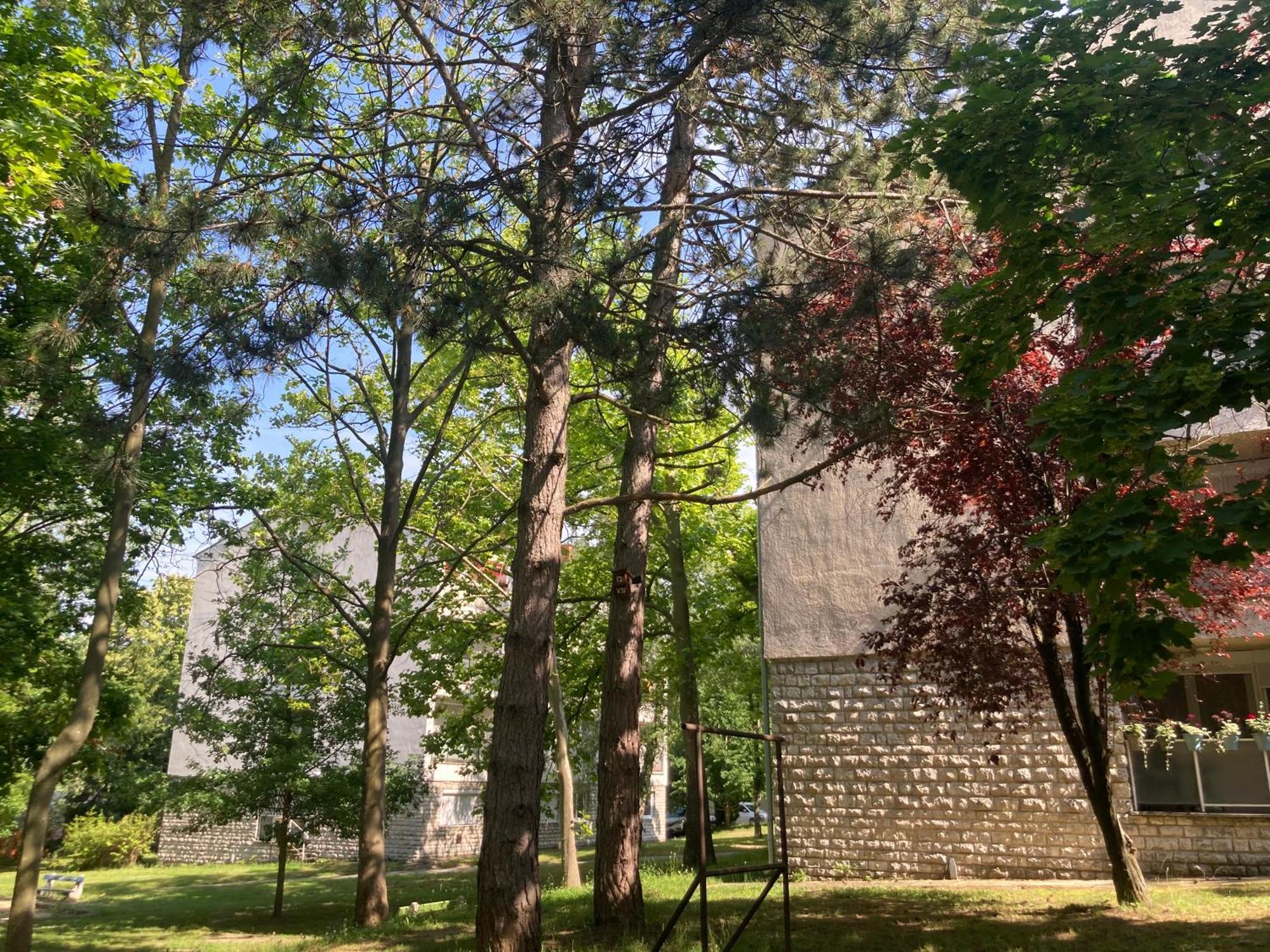 Oazis Apartman Veszprem Exterior photo