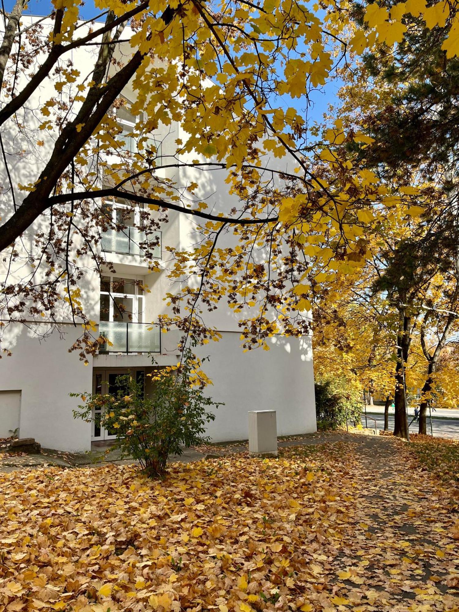 Oazis Apartman Veszprem Exterior photo